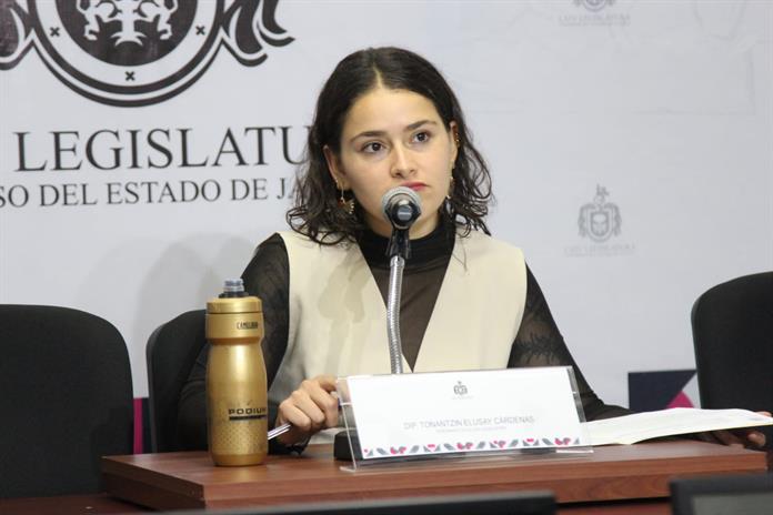 MC quiere fuera del Comité Técnico Tarifario del Transporte a los usuarios: Tonantzin Cárdenas MC quiere fuera del Comité Técnico Tarifario del Transporte a los usuarios: Tonantzin Cárdenas