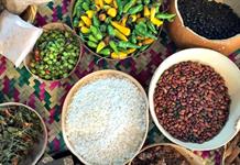 Convocatoria “Lo que se come en Jalisco”: rescatan recetas familiares y promueven la unión entre generaciones