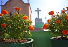 En Zapopan habrá recorridos nocturnos, obras de teatro y exhibición de momias para el Día de Muertos 2025  En Zapopan habrá recorridos nocturnos, obras de teatro y exhibición de momias para el Día de Muertos 2025