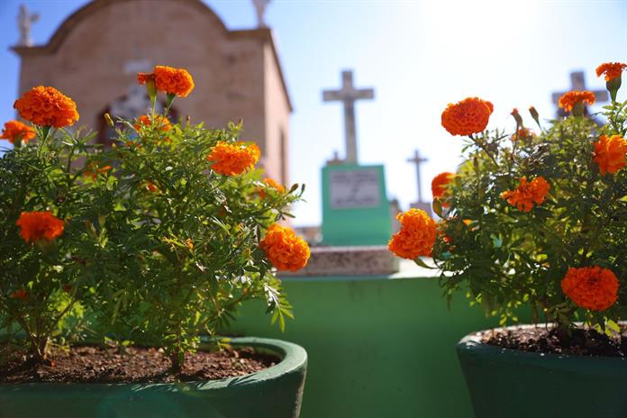 En Zapopan habrá recorridos nocturnos, obras de teatro y exhibición de momias para el Día de Muertos 2025  En Zapopan habrá recorridos nocturnos, obras de teatro y exhibición de momias para el Día de Muertos 2025