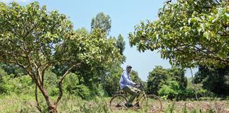 Cinco aldeas y un bosque de Kenia en el centro de la disputa mundial por tierras raras