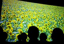 ¿Vale la pena una televisión de ultra-alta definición? los científicos aseguran que no