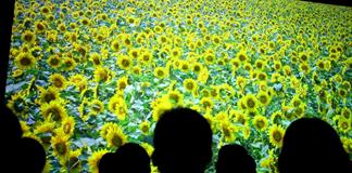 ¿Vale la pena una televisión de ultra-alta definición? los científicos aseguran que no