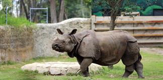 Zoológico de Guadalajara es refugio de 300 especies, 85% en peligro de extinción