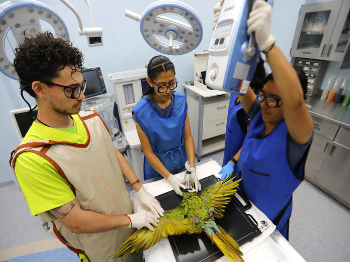 Zoológico de Guadalajara es refugio de 300 especies, 85% en peligro de extinción