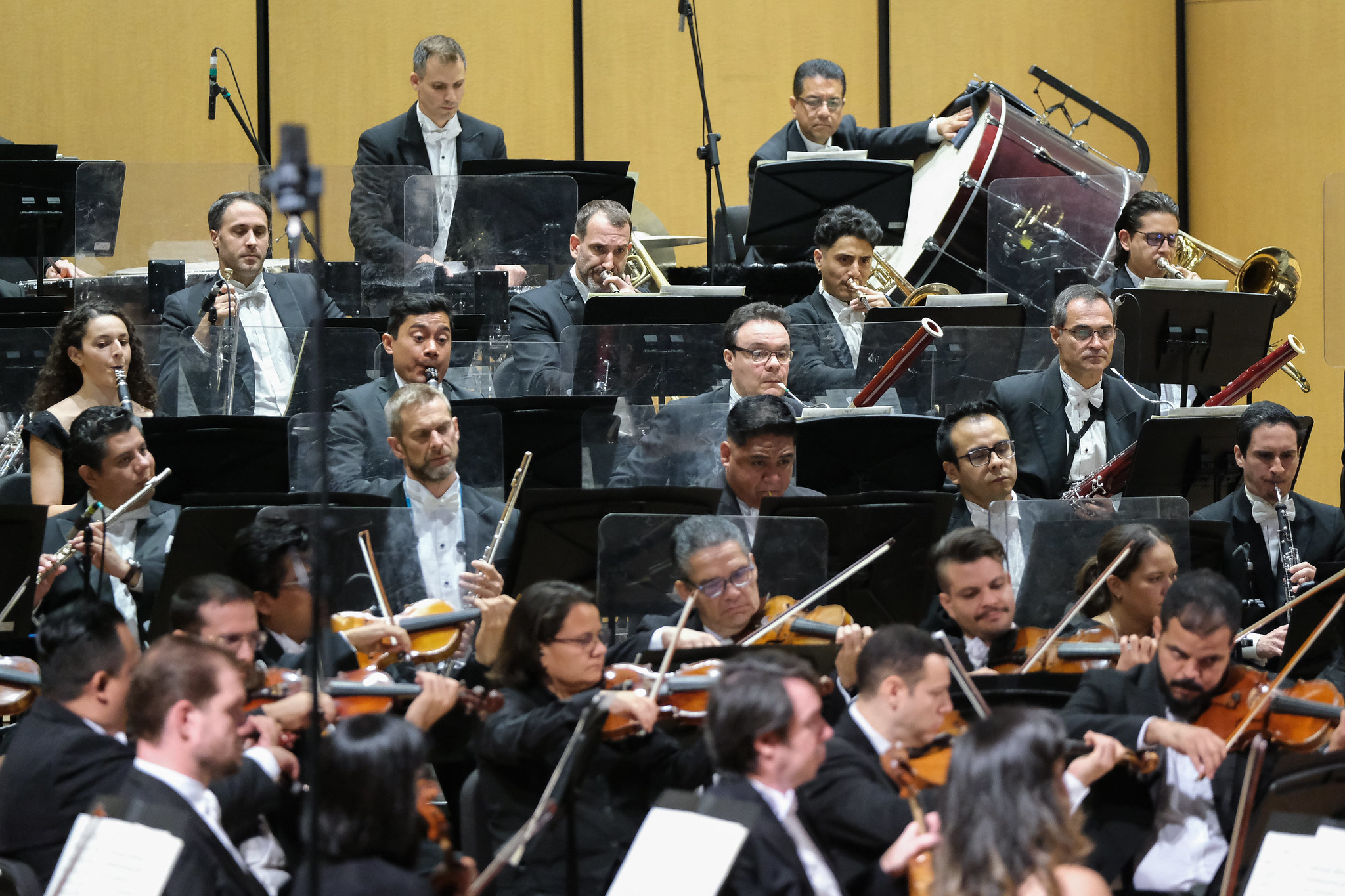 La Orquesta Filarmónica de Jalisco tendrá estrenos jaliscienses en el Teatro Degollado La Orquesta Filarmónica de Jalisco tendrá estrenos jaliscienses en el Teatro Degollado