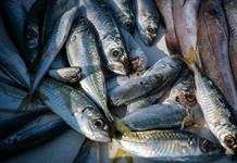 Niveles de mercurio en pescado, cosméticos y ambiente amenazan a 20 millones de personas Niveles de mercurio en pescado, cosméticos y ambiente amenazan a 20 millones de personas