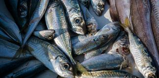 Niveles de mercurio en pescado, cosméticos y ambiente amenazan a 20 millones de personas Niveles de mercurio en pescado, cosméticos y ambiente amenazan a 20 millones de personas