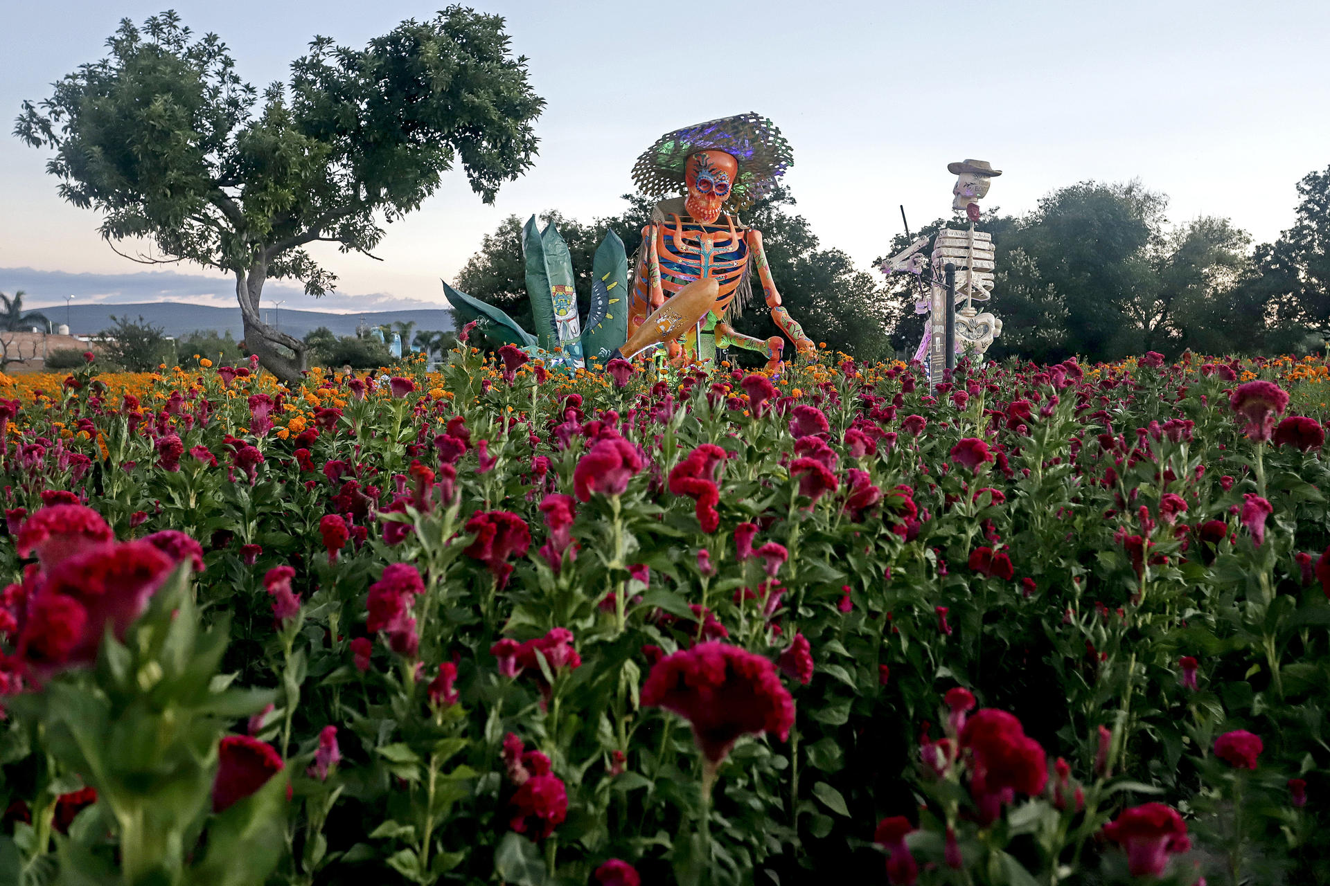 Con calaveras monumentales honran a la muerte en el centro de México