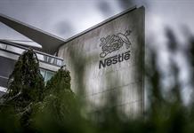 Nestlé y Starbucks acusados por ONG de violaciones de derechos en plantaciones de café Nestlé y Starbucks acusados por ONG de violaciones de derechos en plantaciones de café