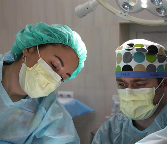 Logran primer trasplante a cerdos de riñones porcinos modificados con organoides humanos