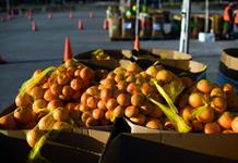 EEUU reducirá ayuda alimentaria para millones de personas en noviembre debido a parálisis presupuestal