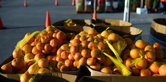 EEUU reducirá ayuda alimentaria para millones de personas en noviembre debido a parálisis presupuestal EEUU reducirá ayuda alimentaria para millones de personas en noviembre debido a parálisis presupuestal