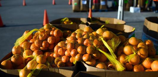 EEUU reducirá ayuda alimentaria para millones de personas en noviembre debido a parálisis presupuestal