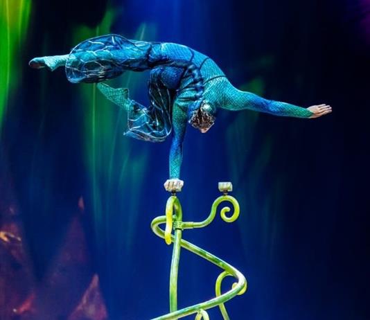 "OVO", un espectáculo con amor por la naturaleza que presentará el Cirque du Soleil en Guadalajara