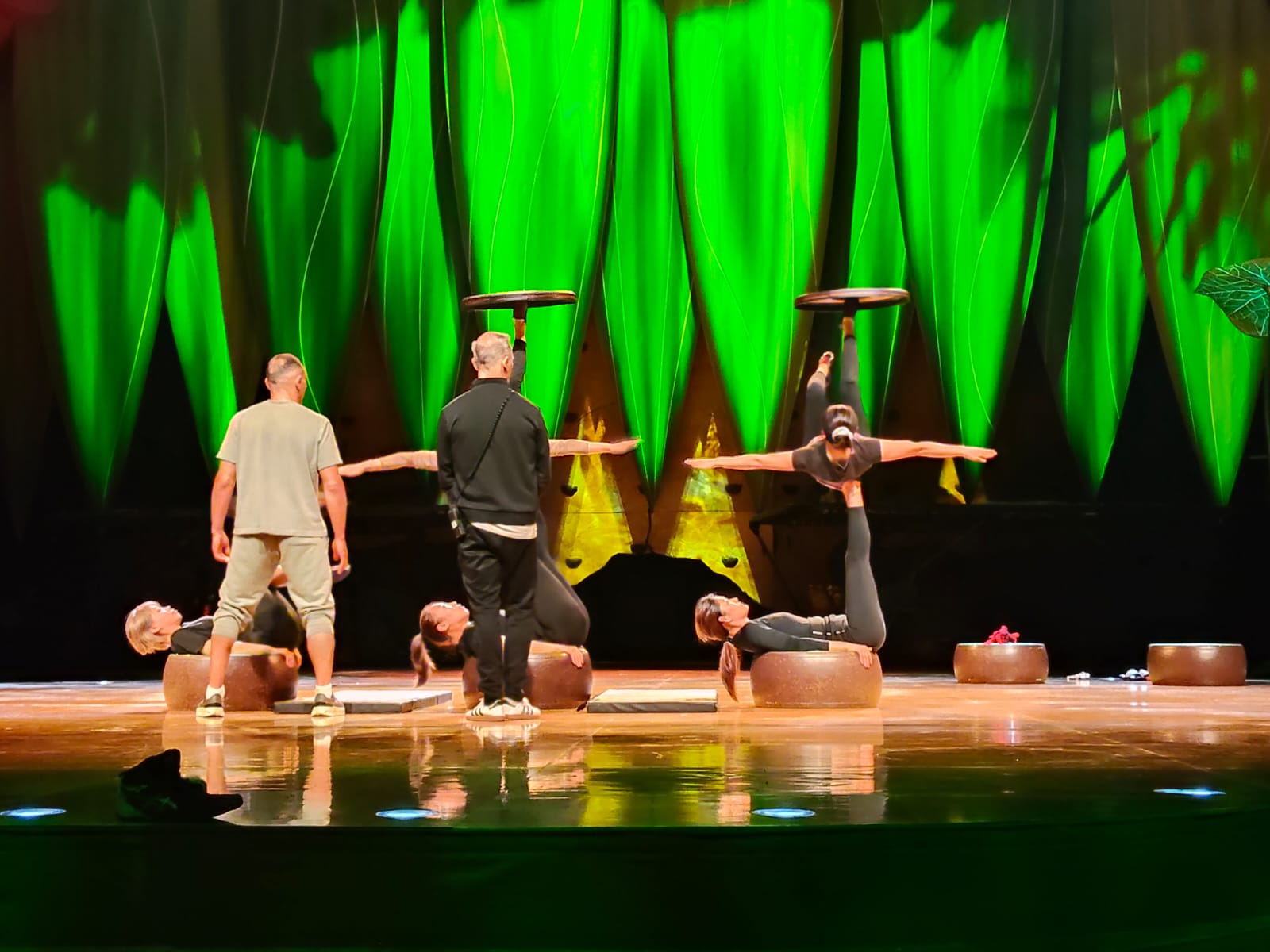 “OVO”, un espectáculo con amor por la naturaleza que presentará el Cirque du Soleil en Guadalajara