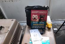 ¿Rescataste un perro y quieres que pronto lo adopten? Checa lo que dicen personas con experiencia
 ¿Rescataste un perro y quieres que pronto lo adopten? Checa lo que dicen personas con experiencia