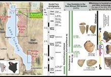 Herramientas de piedra de 2,7 millones de años reflejan la capacidad de adaptación humana
