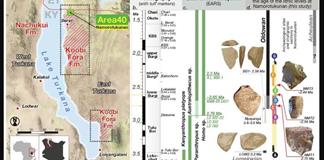 Herramientas de piedra de 2,7 millones de años reflejan la capacidad de adaptación humana Herramientas de piedra de 2,7 millones de años reflejan la capacidad de adaptación humana
