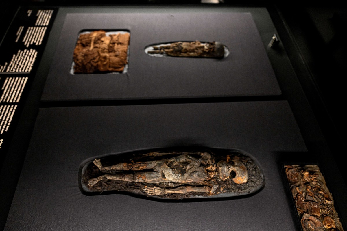 Egipto presenta por primera vez la colección completa de los tesoros de Tutankamón