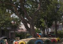 Disputan vecinos y particulares predio en El Campanario Disputan vecinos y particulares predio en El Campanario