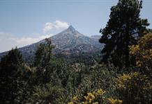 UdeG y Semadet formalizan alianza para fortalecer acciones ambientales en Jalisco UdeG y Semadet formalizan alianza para fortalecer acciones ambientales en Jalisco