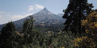 UdeG y Semadet formalizan alianza para fortalecer acciones ambientales en Jalisco UdeG y Semadet formalizan alianza para fortalecer acciones ambientales en Jalisco