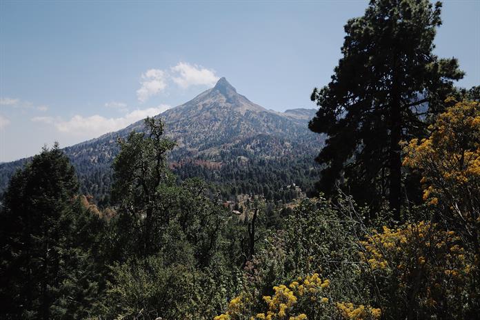 UdeG y Semadet formalizan alianza para fortalecer acciones ambientales en Jalisco UdeG y Semadet formalizan alianza para fortalecer acciones ambientales en Jalisco
