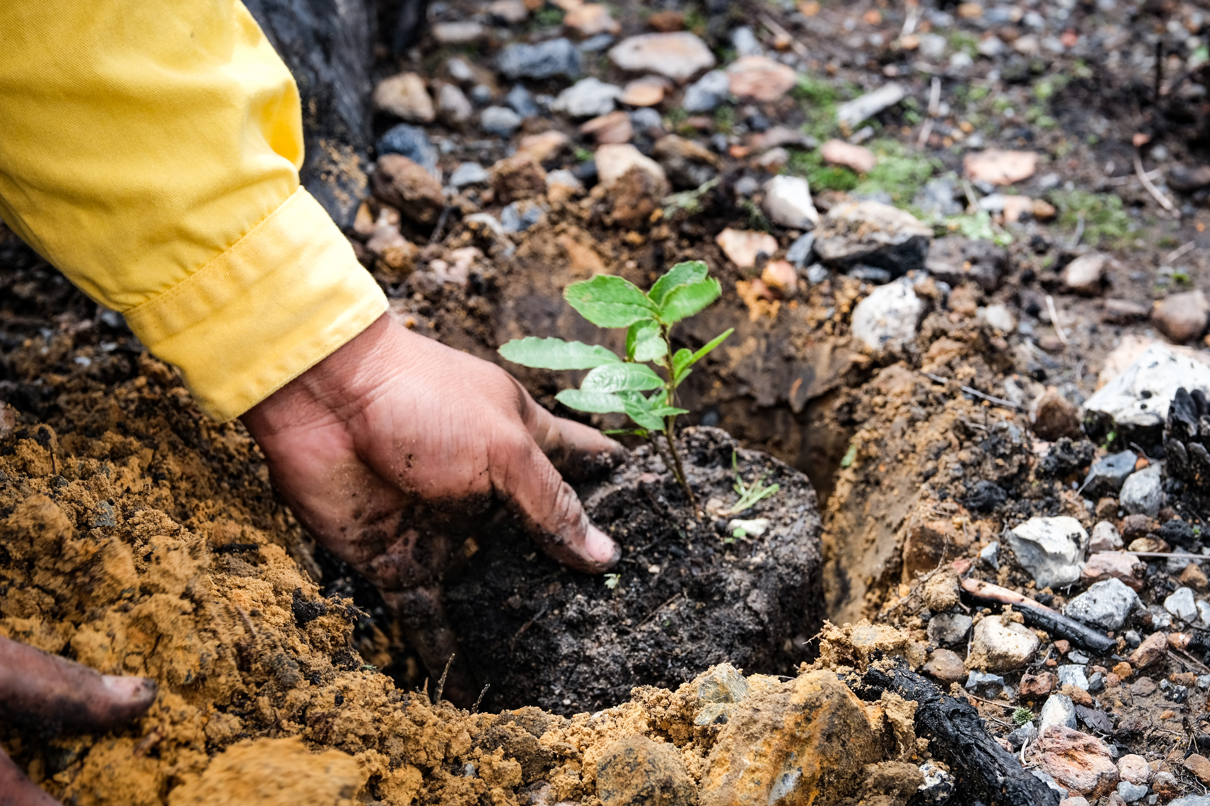 El año 2025 será el segundo o tercero más caluroso registrado El año 2025 será el segundo o tercero más caluroso registrado
