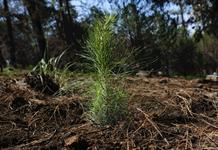 El año 2025 será el segundo o tercero más caluroso registrado El año 2025 será el segundo o tercero más caluroso registrado