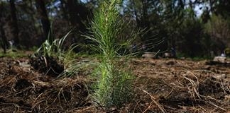 El año 2025 será el segundo o tercero más caluroso registrado El año 2025 será el segundo o tercero más caluroso registrado