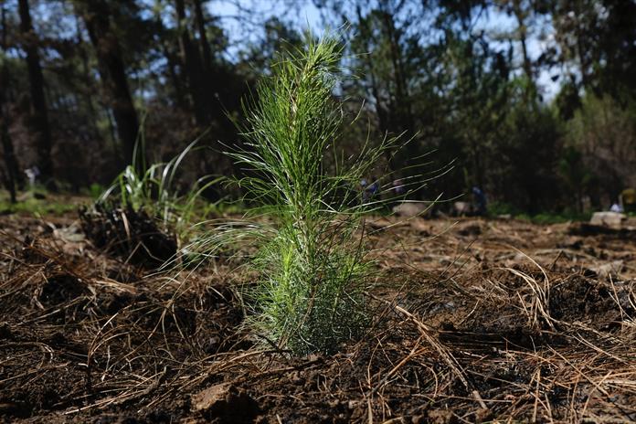 El año 2025 será el segundo o tercero más caluroso registrado El año 2025 será el segundo o tercero más caluroso registrado