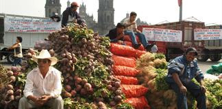 Unión campesina mexicana pide política para frenar una "crisis agrícola sin precedentes" Unión campesina mexicana pide política para frenar una "crisis agrícola sin precedentes"