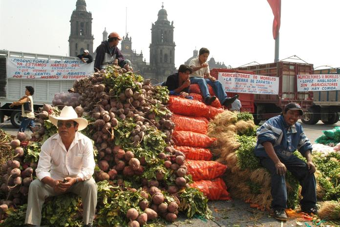 Unión campesina mexicana pide política para frenar una “crisis agrícola sin precedentes” Unión campesina mexicana pide política para frenar una “crisis agrícola sin precedentes”
