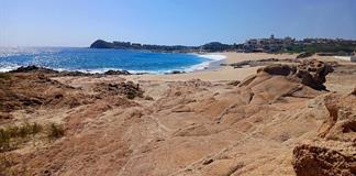 El Foro Mar de Cortés urge a la acción colectiva ante amenazas a su sostenibilidad El Foro Mar de Cortés urge a la acción colectiva ante amenazas a su sostenibilidad