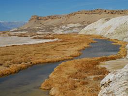 Los ríos, más aliados del cambio climático de lo que se pensaba Los ríos, más aliados del cambio climático de lo que se pensaba