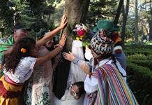 Una boda entre personas y árboles en México busca concienciar sobre la deforestación