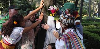 Una boda entre personas y árboles en México busca concienciar sobre la deforestación