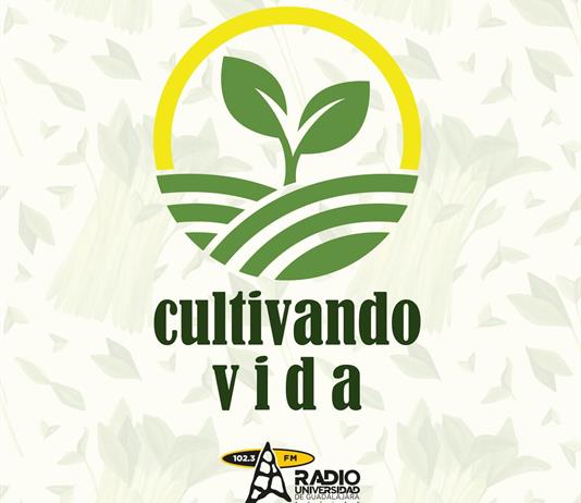 Cultivando Vida – 07 de noviembre de 2025