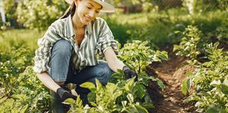 “Puttering”: vivir despacio en la era de lo rápido “Puttering”: vivir despacio en la era de lo rápido