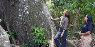 La COP32 sobre clima se hará en Etiopía en 2027, según grupo africano en la COP La COP32 sobre clima se hará en Etiopía en 2027, según grupo africano en la COP