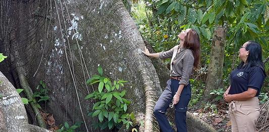 La COP32 sobre clima se hará en Etiopía en 2027, según grupo africano en la COP