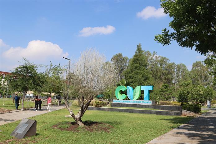 Desde Tonalá, buscan llevar energía renovable a zonas rurales con apoyo internacional