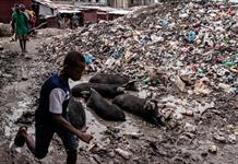 El Programa Mundial de Alimentos insta a no olvidar a Haití, que vive una crisis crónica