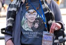 Activistas y Leonardo DiCaprio rinden homenaje a Jane Goodall en Washington