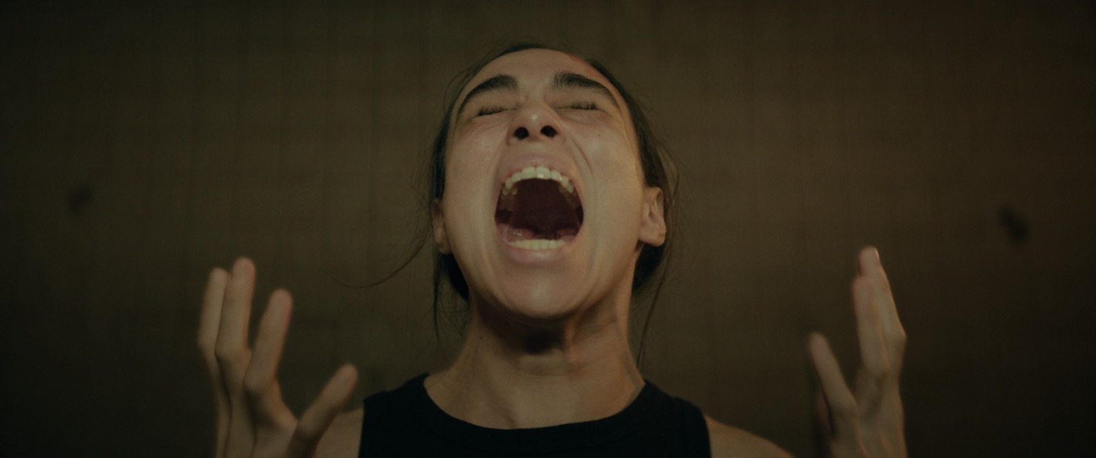 Olallo Rubio explora los límites de la culpa y el terror en su nueva película Tormento Olallo Rubio explora los límites de la culpa y el terror en su nueva película Tormento