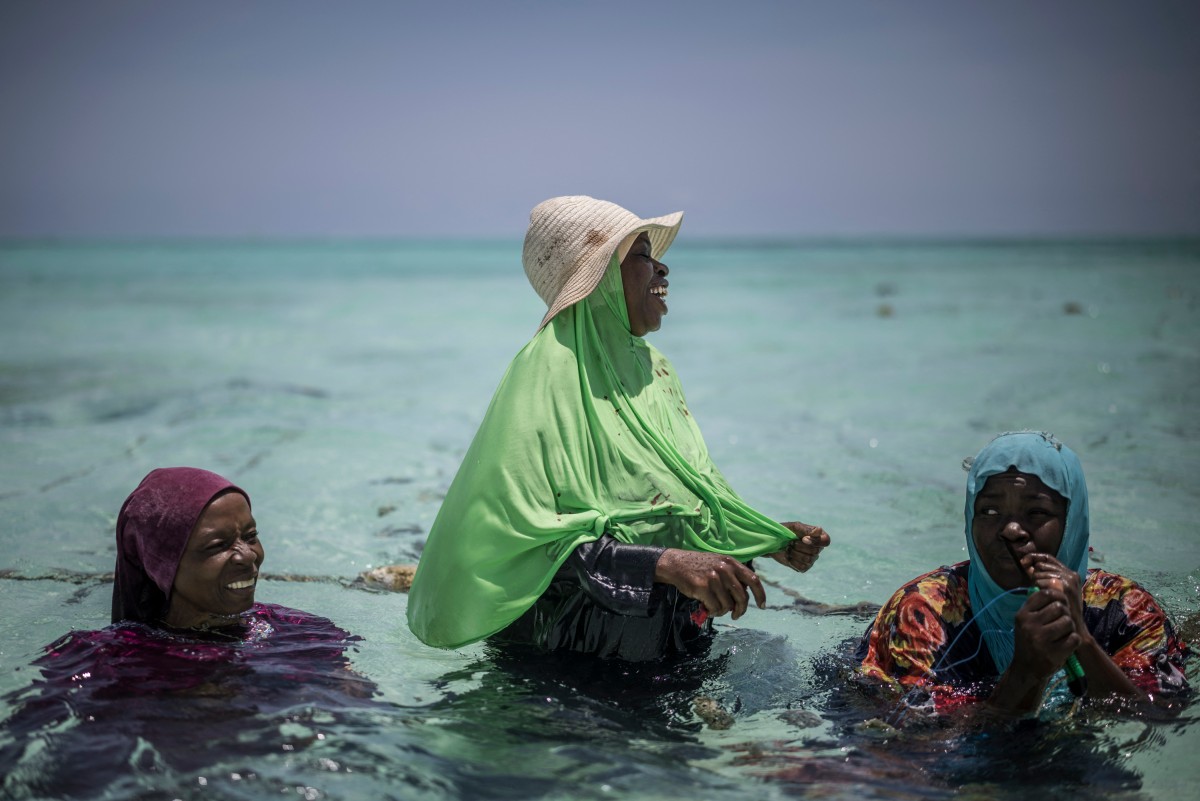 El cultivo de esponjas marinas es un salvavidas para las mujeres en Zanzíbar