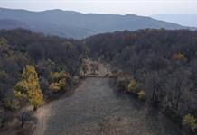 Las emisiones de CO2 generadas por combustibles fósiles batirán récord en 2025, según un estudio Las emisiones de CO2 generadas por combustibles fósiles batirán récord en 2025, según un estudio