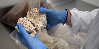 Material a base de hongos se impone al plástico en los empaques de una empresa emergente belga