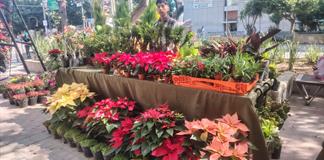 Productores jaliscienses llevan flores y plantas del campo al paseo Chapultepec Productores jaliscienses llevan flores y plantas del campo al paseo Chapultepec